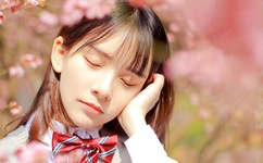 无码免费人妻A片AAA毛